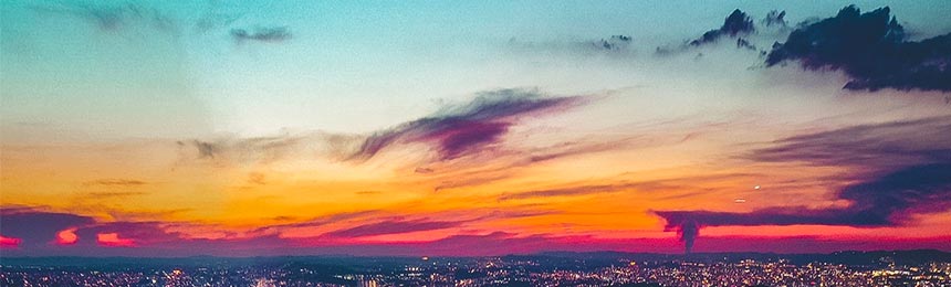 六盘水茶虫网_六盘水品茶